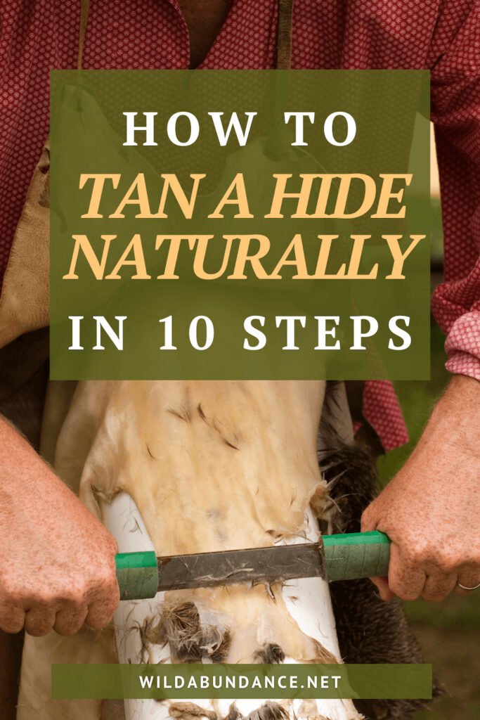 How to tan a hide naturally in 10 steps