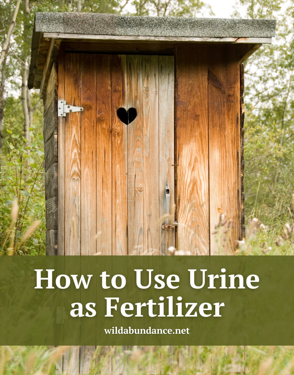Text reads: How to use urine as fertilizer. Background photo is of a wood outhouse with a heart on the door.