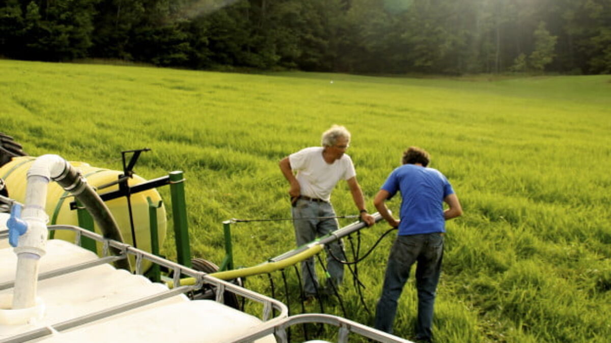 Human Urine as Fertilizer: How to Safely Use Urine for Plants