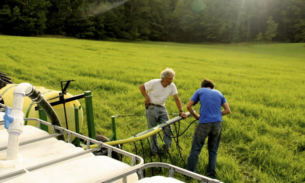 Applying urine as a fertilizer to a hay crop