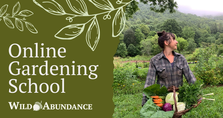 Text: Online Gardening School Wild Abundance. Woman looks dreamily onto mountain side. She is holding a basket full of vegetables.