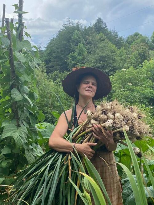 Woman stands in garden and holds large garlic harvest in arms