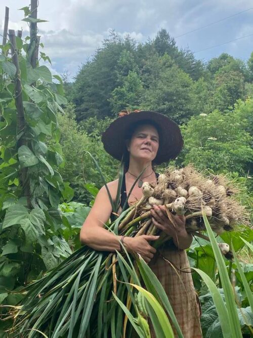 Woman stands in garden and holds large garlic harvest in arms 