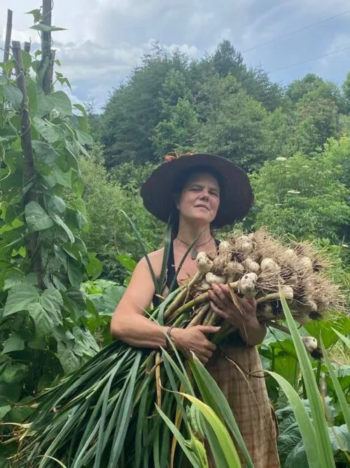 Woman stands in garden and holds large garlic harvest in arms