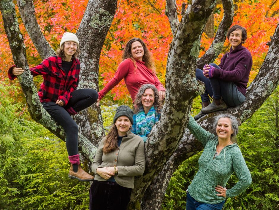 6 women members of the core team leading Wild Abundance carpentry and permaculture school, posing with a tree and smiling.