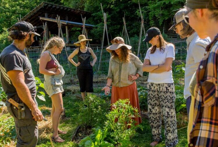 G&P-1200-cropped-Natalie instructing apprentices-2024-updated-238 Natalie Bogwalker instructing student apprentices in the annual vegetable garden during the 9 month Gardening and Permaculture apprenticeship program at Wild Abundance's original campus