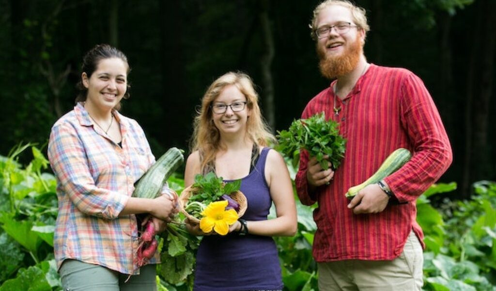 Three apprentices smile with fresh vegetables harvested during a permaculture and gardening apprenticeship at Wild Abundance