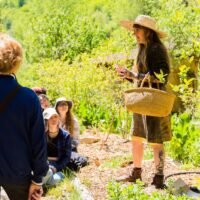 Instructor Rebecca Beyer leads students on a plant identification and foraging walk around the permaculture food forest landscaping of the Wild Abundance campus during an herbal medicine-making class