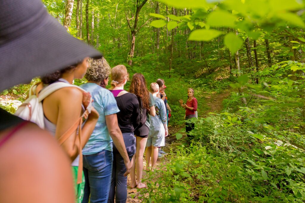 A group of women are led by an elder woman naturalist through a forest on a plant identification walk