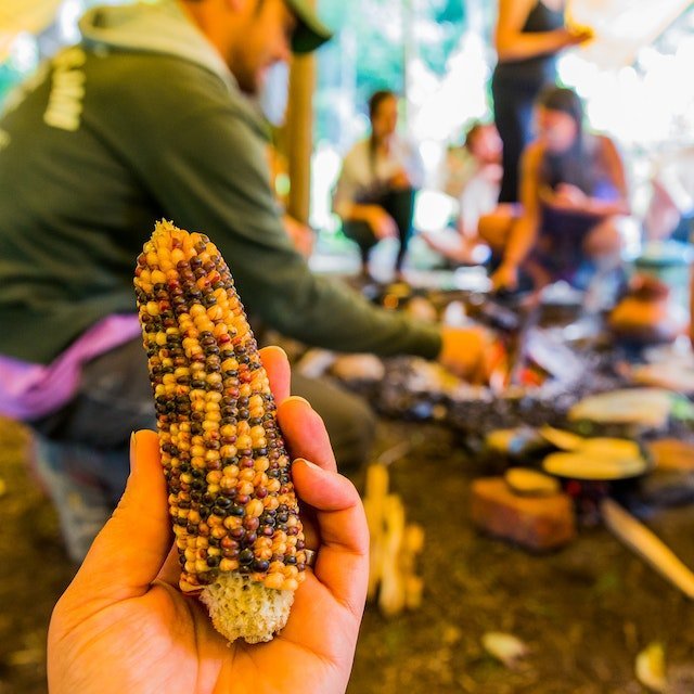 A special variety of corn is passed around and discussed while students cook and eat tortillas over an open fire and learn about nixtamalization and Milpa farming practices