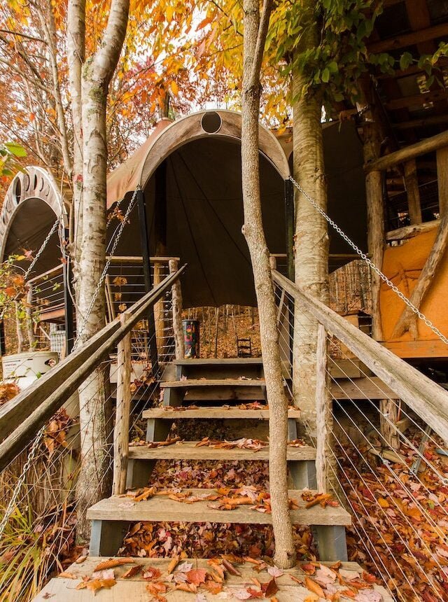 The stairs to the open air ourdoor covered kitchen and classroom at the Sanford Way campus for Wild Abundance, seen in fall