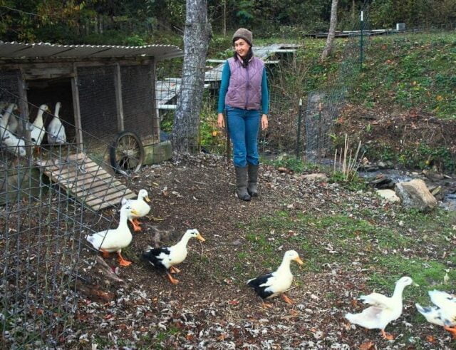 Chloe Leiberman, co-instructor, letting ducks out of a coop into a free-range run on a permaculture homestead