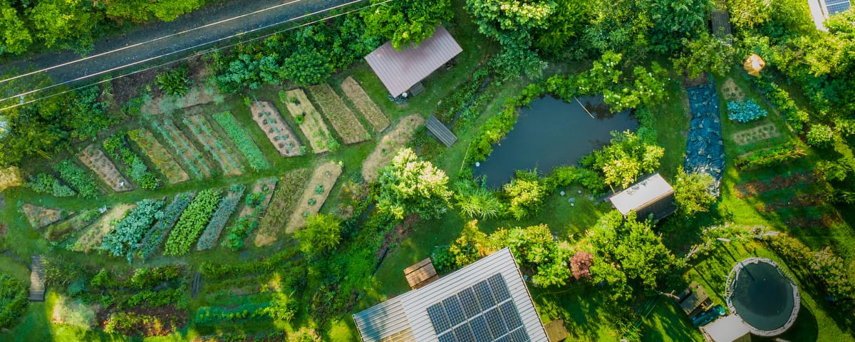 The mature permaculture designed food forest, pond, and gardens of Wild Abundance's satellite campus are seen from above in a drone shot full of vibrant spring foliage of the Southeast bioregion