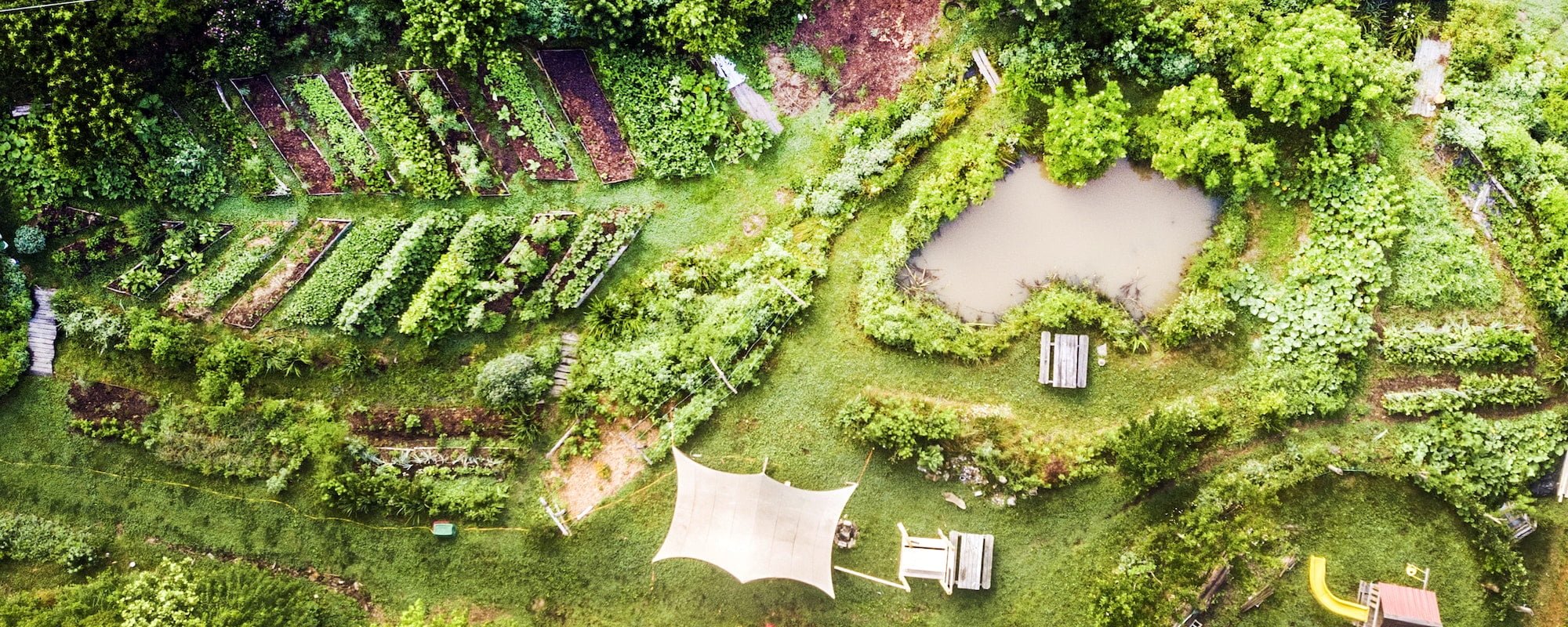 Wild Abundance Sanford Way Campus from Above