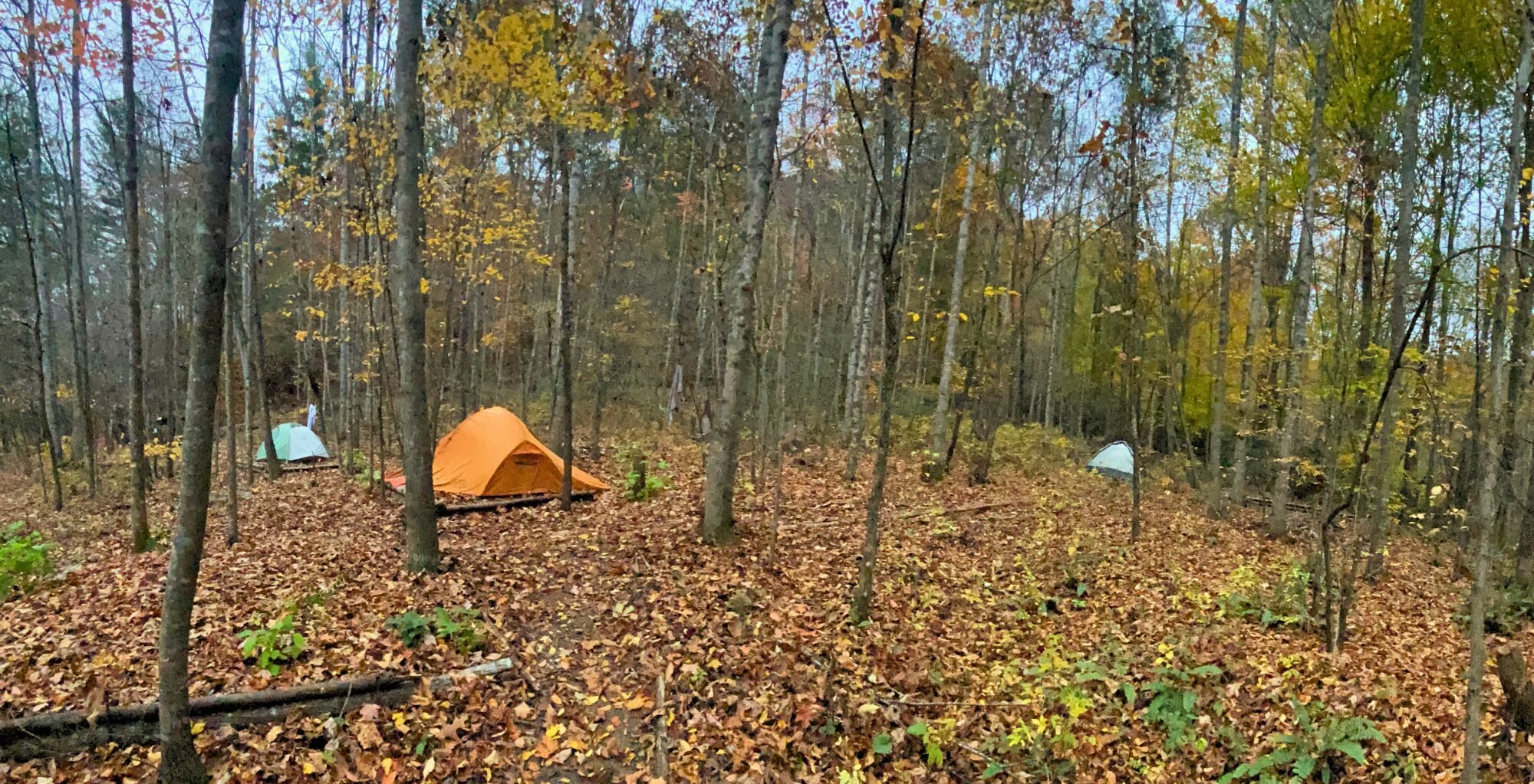 Student tents seen in the free flat tentsites around the campground with shared facilities at Wild Abundance in North Carolina