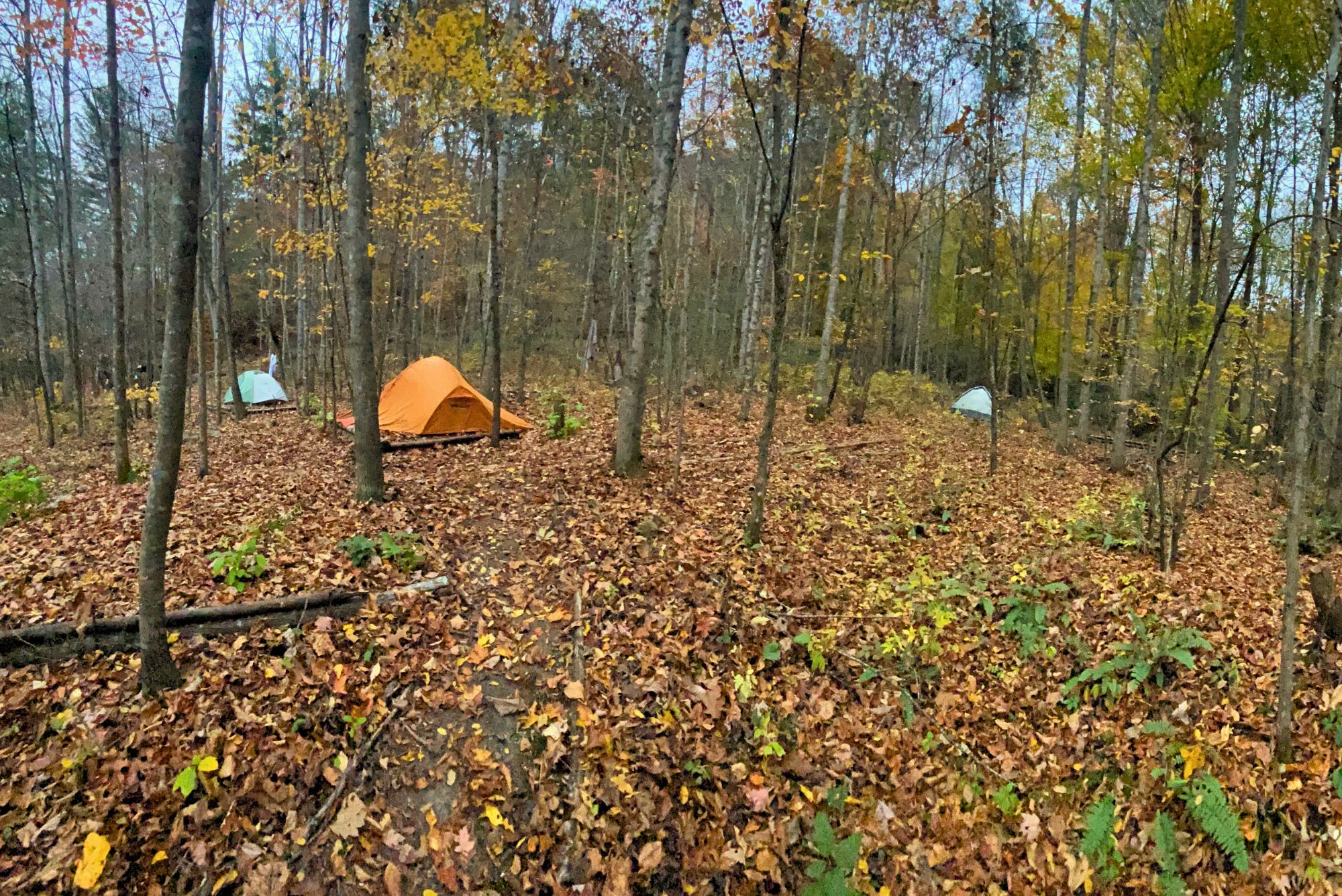 campus campground free camping tents woods