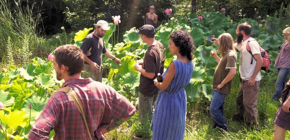 Permaculture instructor teaches in garden during design class