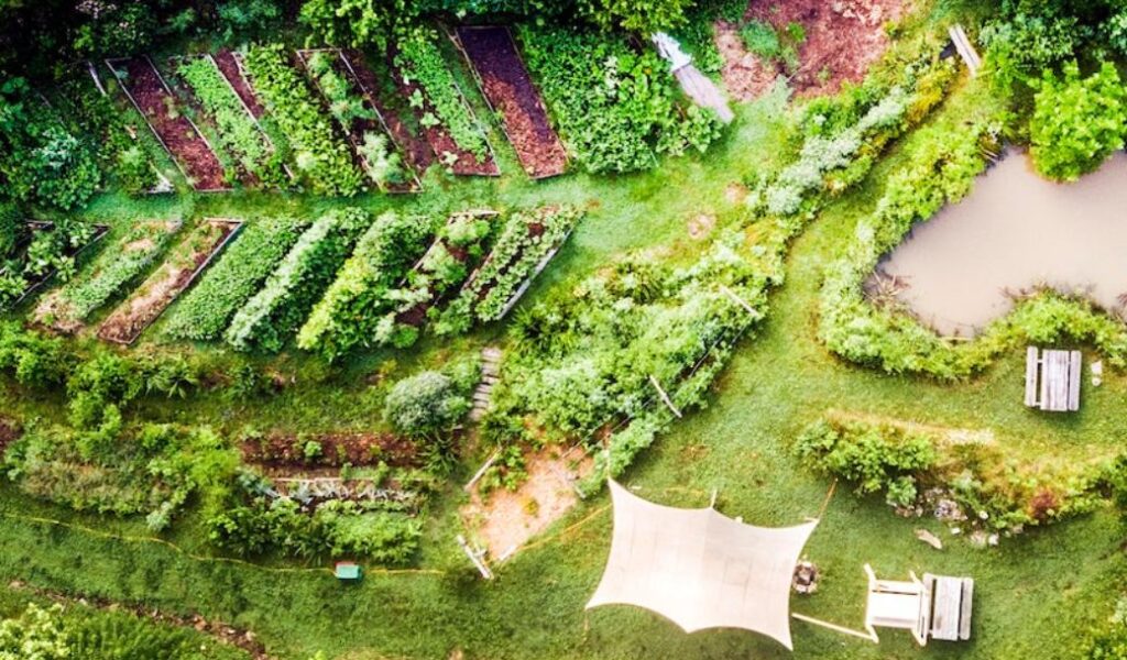 An aerial view of the permaculture landscaping including perrennial and annual gardens, pond, berries and fruit trees at wild abundance campus