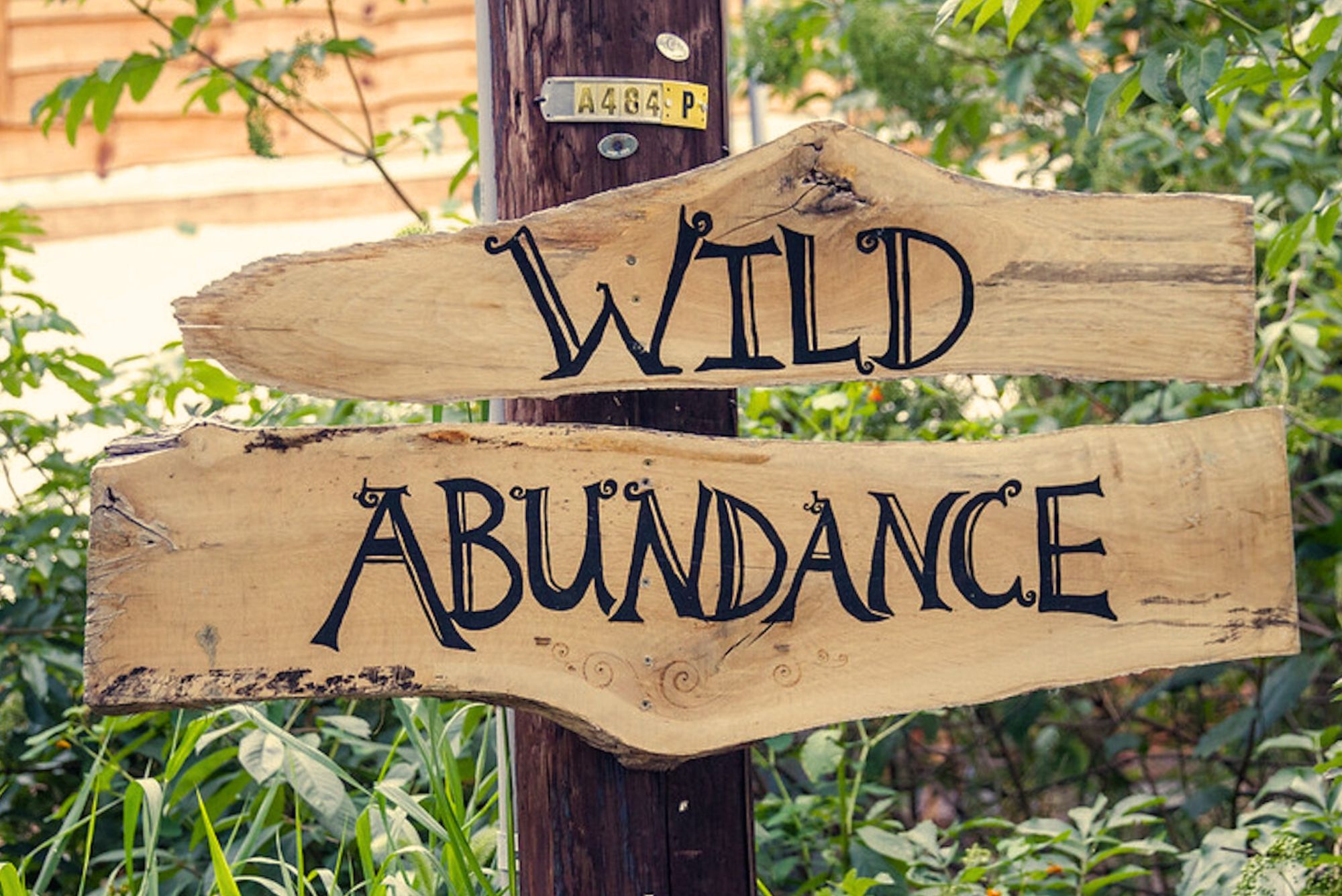 Signage for Wild Abundance marks the entrance to the campus upon your arrival