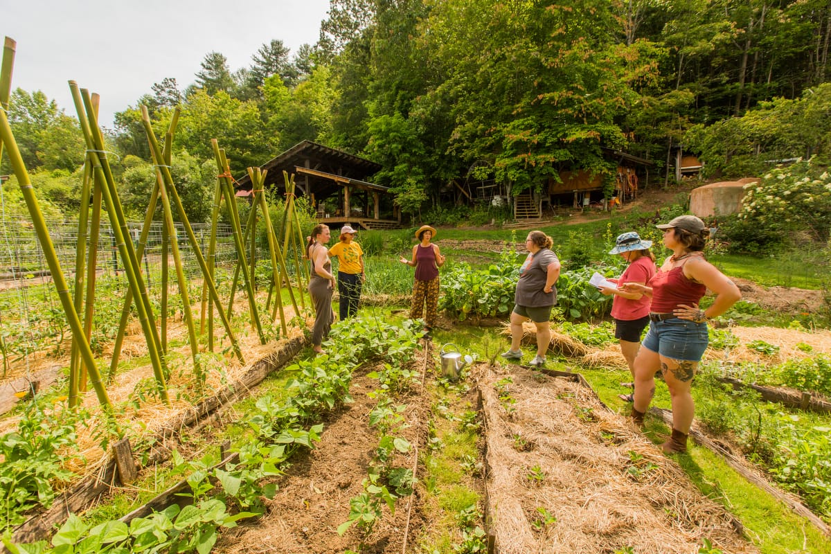 Instructor Chloe Lieberman leads women on a tour of the edible permaculture food forest landscaping and annual vegetable garden during the Nourishing Foods Retreat at Wild Abundance in North Carolina