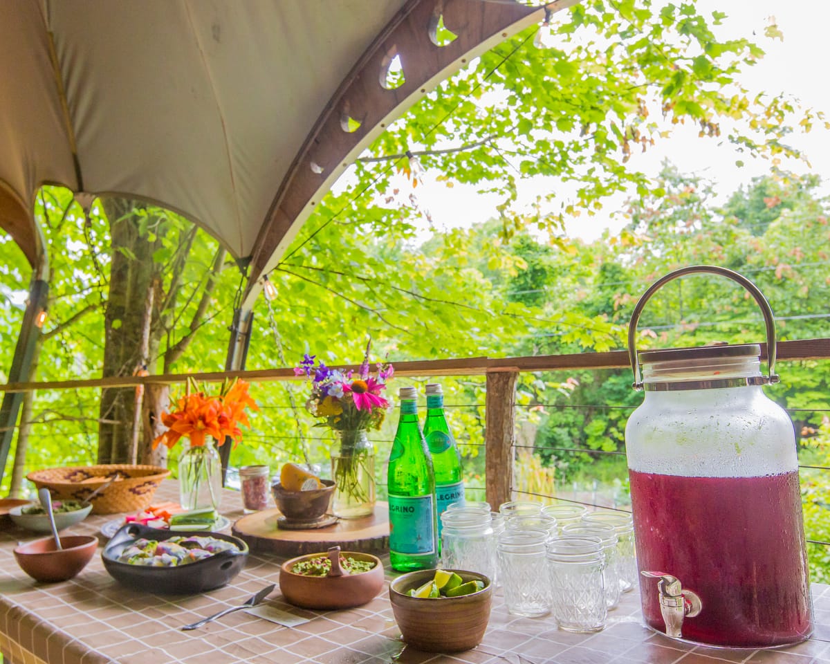 A beautiful spread of nourishing foods made with wild foraged edible flowers, fruits, and greens is laid out for students to taste at a Nourishing foods retreat for women at Wild Abundance