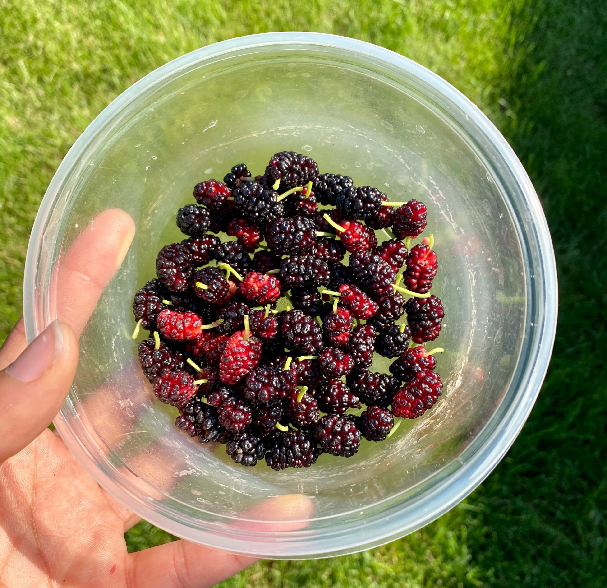 candace-mathers-VKz-5QLxXgE-unsplash