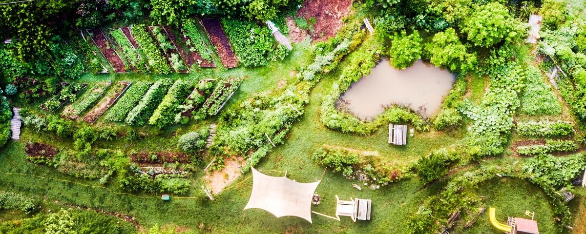 Aerial view of the Permaculture food forest design at Wild Abundance Satellite campus at Sanford Way