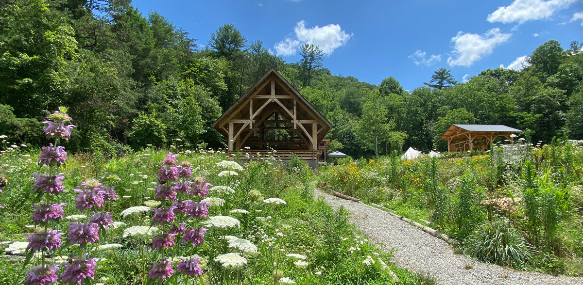 Wildflowers in bloom across the campus of Wild Abundance DIY skills school in North Carolina