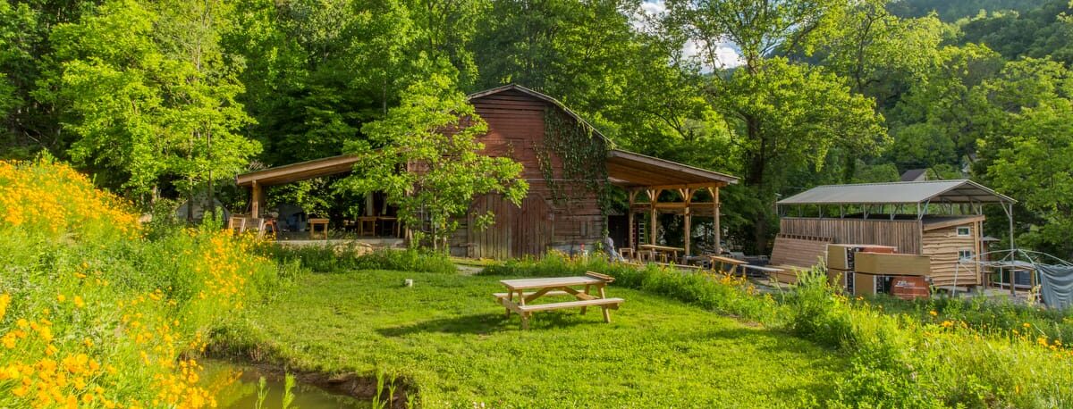 The main campus of Wild Abundance seen in summer features a series of lush terraces and small ponds amidst the carpentry and building workshop areas, with picnic tables and fruit trees and berry bushes dotting the landscape