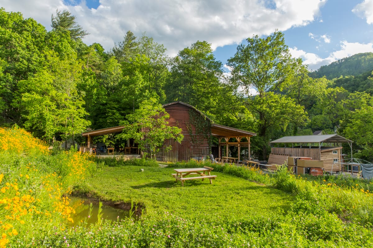The main campus of Wild Abundance seen in summer features a series of lush terraces and small ponds amidst the carpentry and building workshop areas, with picnic tables and fruit trees and berry bushes dotting the landscape