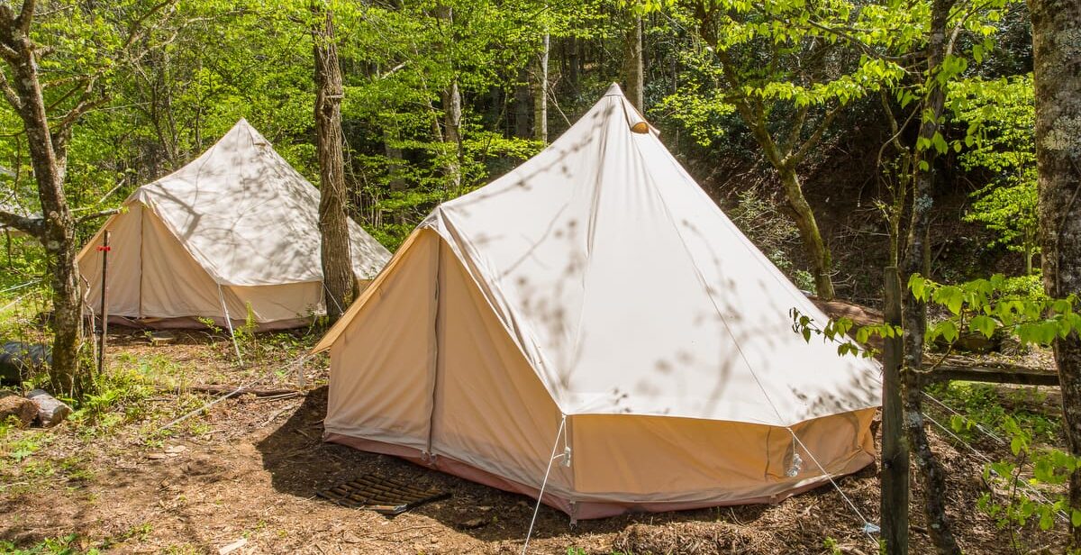 FAQ page 669 2025-1200-Current- Glamping tents with cots and bedding are available for booking during your workshop at Wild Abundance. Camping with your own tent is always free!