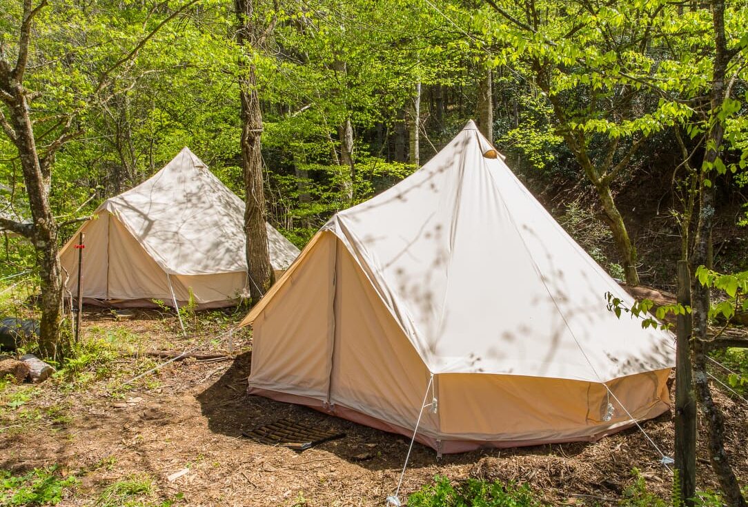 Glamping tents with cots and bedding are available for booking during your workshop at Wild Abundance. Camping with your own tent is always free!