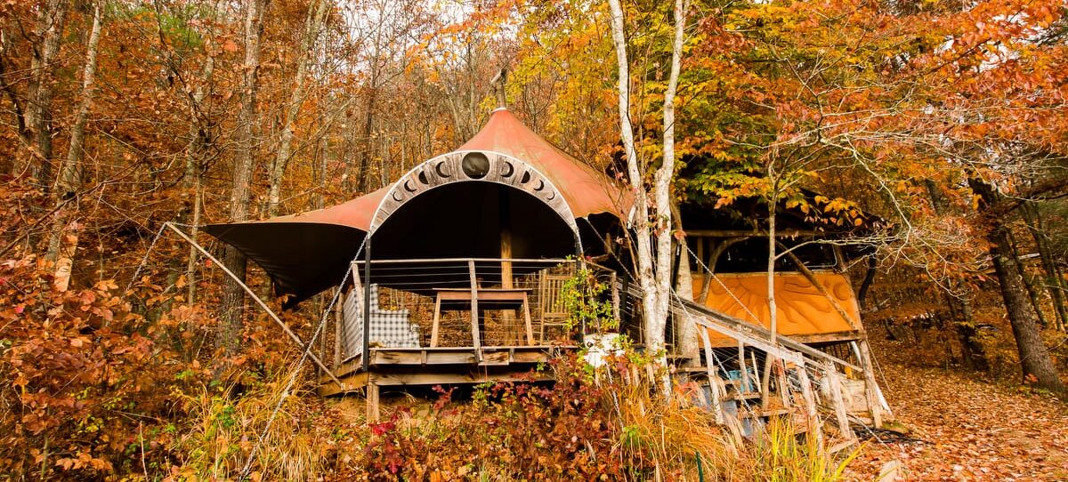 An outdoor kitchen and teaching space at the Sanford Way Satellite campus of Wild Abundance, where students gather for the Women's Rewilding Weekend Retreat, the Wildcrafted Apothecary medicinal herbs workshop, and the annual in-person Permaculture Design Course.