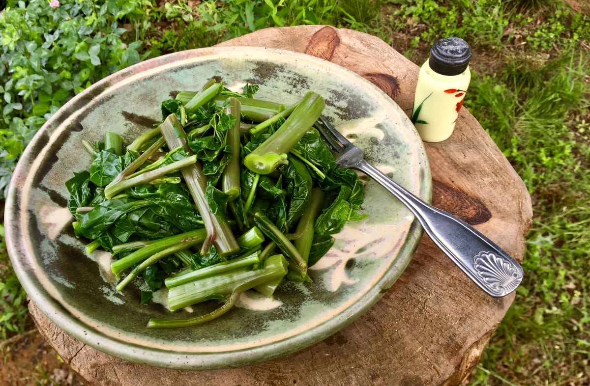 Poke sallat recipe included in the free April Get-to-do's guide for seasonal land-based living from Wild Abundance